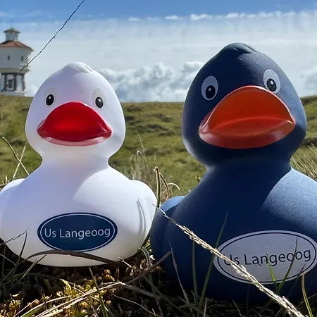 Moewchen לנגאוג